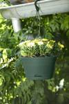 green basics hangschaal 28cm blad groen